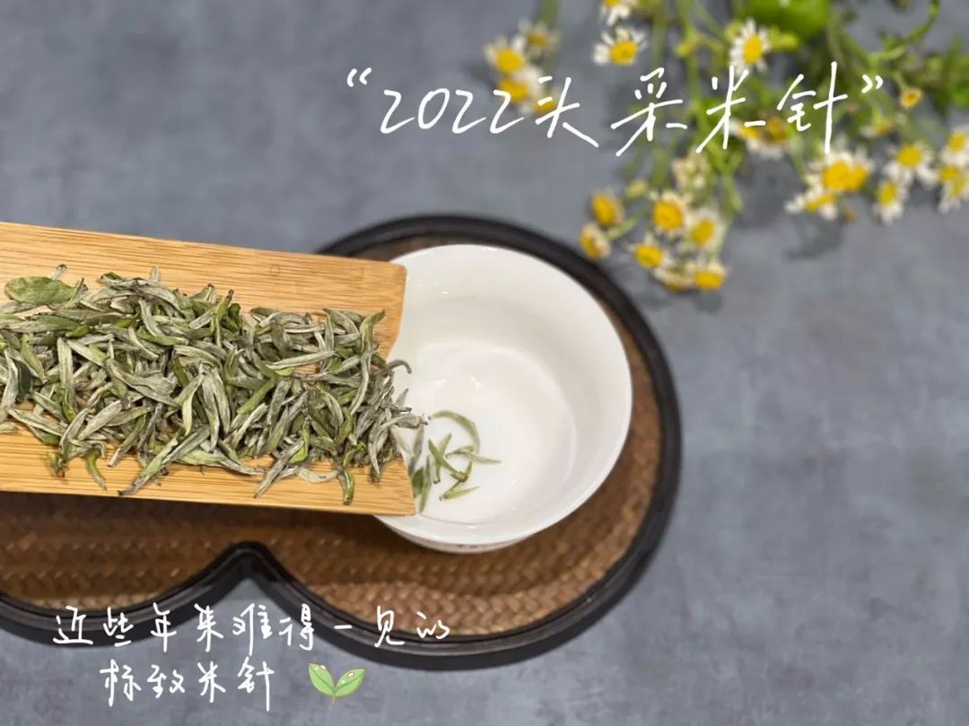 一年中哪个季节的茶叶最好喝,一年里茶叶什么季节最便宜