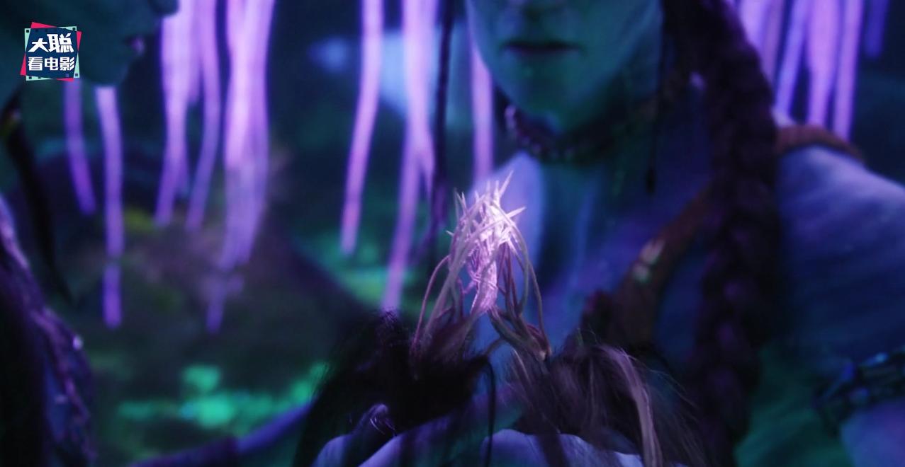 阿凡达细节讲解,阿凡达2全过程讲解