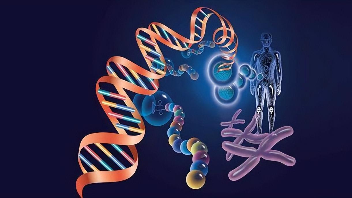 多囊卵巢综合征怎么防脱发,多囊卵巢综合征导致月经推迟长痘