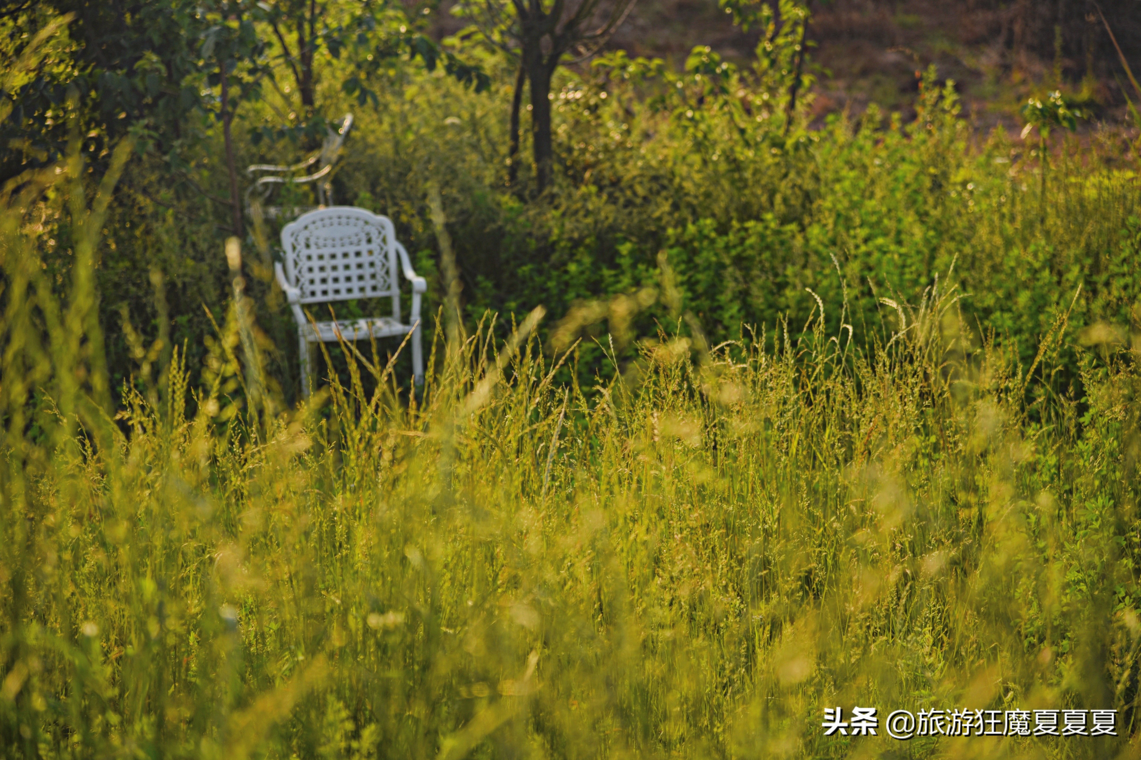 成都龙泉山火到半夜都堵车？跟风夜爬大可不必，这样才有绝美日出