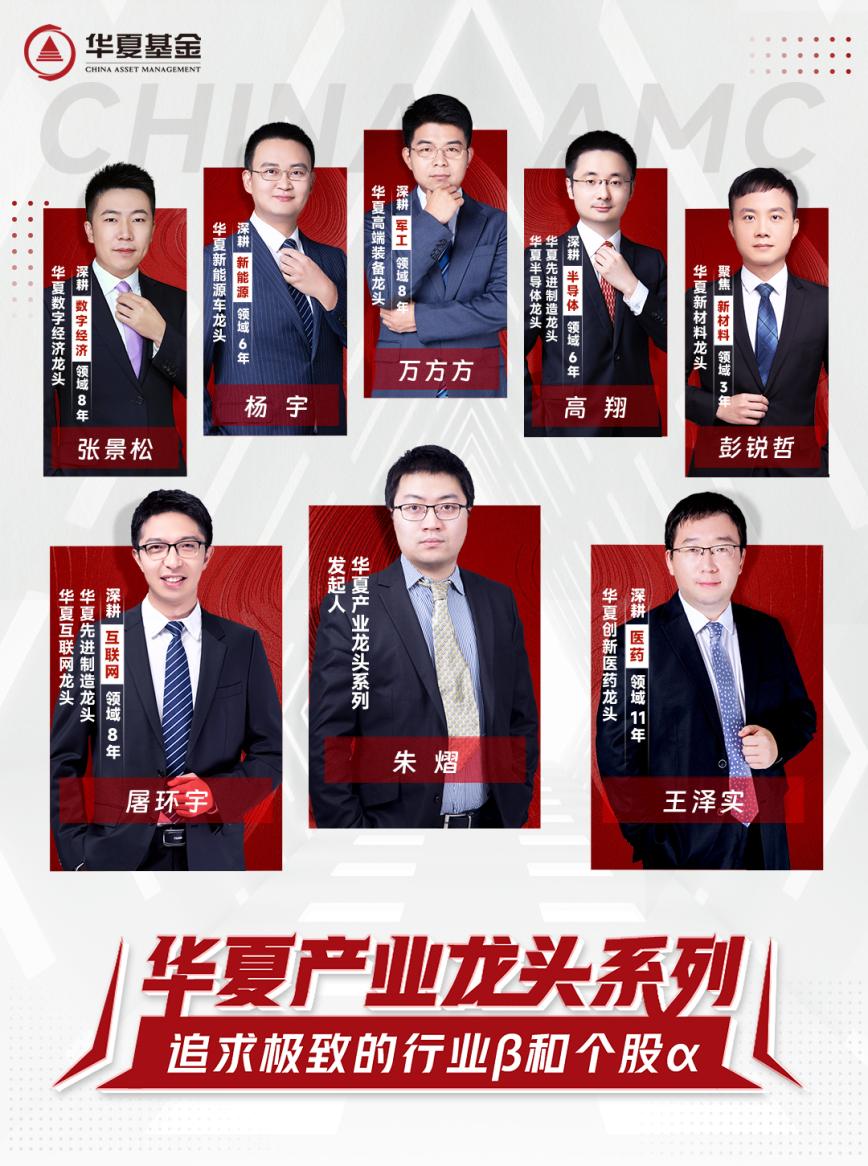 华夏龙头行业混合基金,追求极致的公司