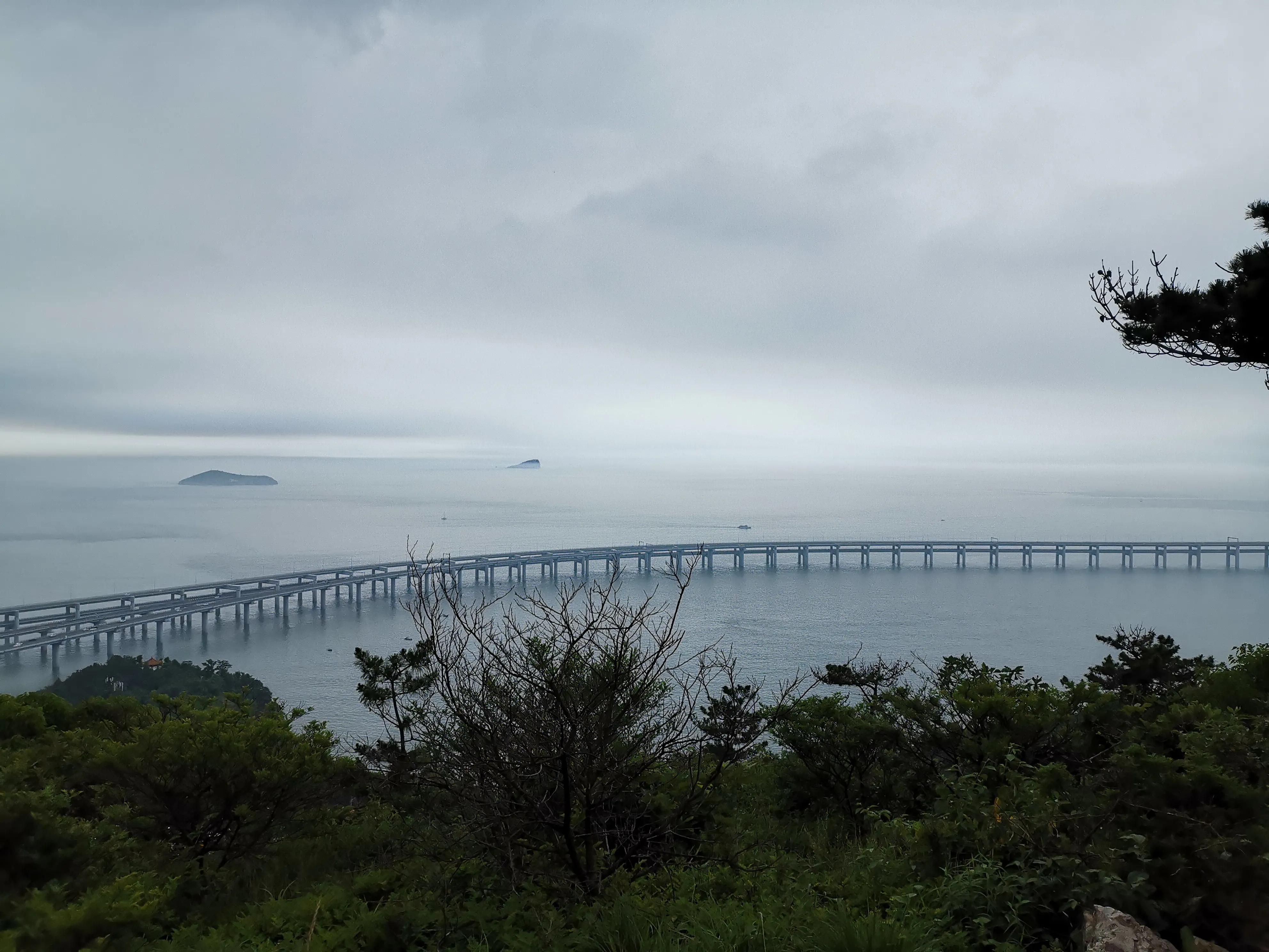 大连动物森林公园旅游攻略,大连森林动物公园旅游攻略