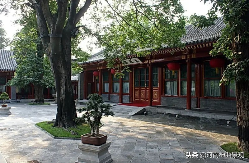 钓鱼台养源斋视频,钓鱼台国宾馆养源斋