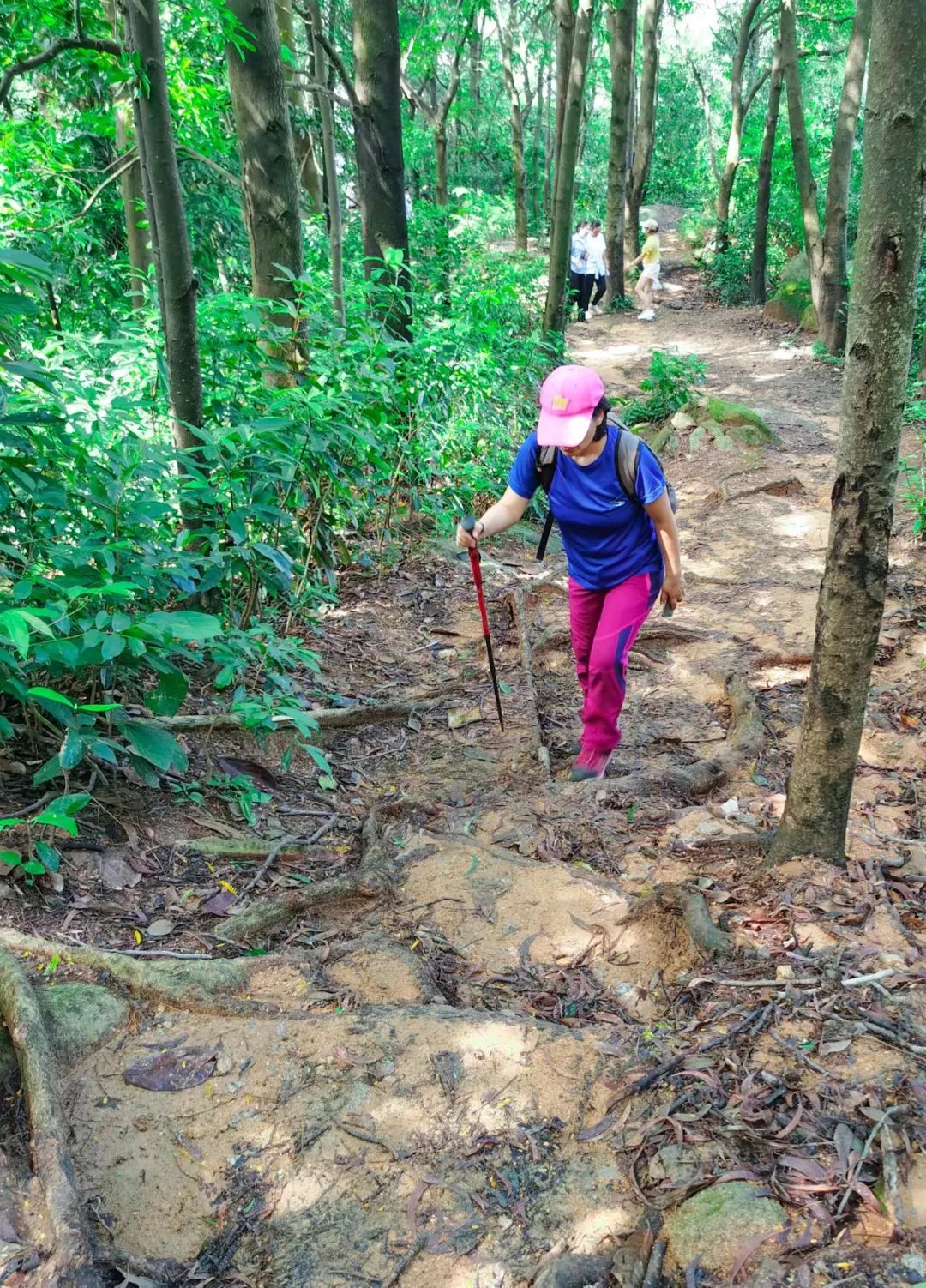 徒步登山我健康我快乐,广州火炉山爬山最佳地点