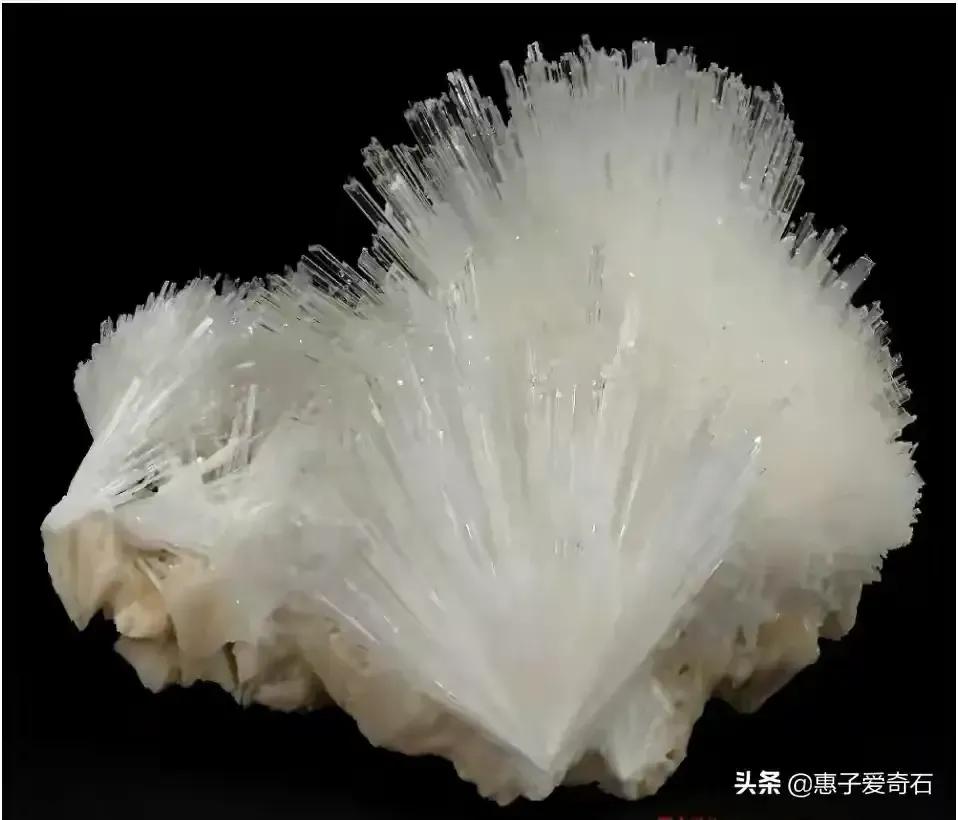 18块最贵奇石欣赏,世界上最贵的六大奇石