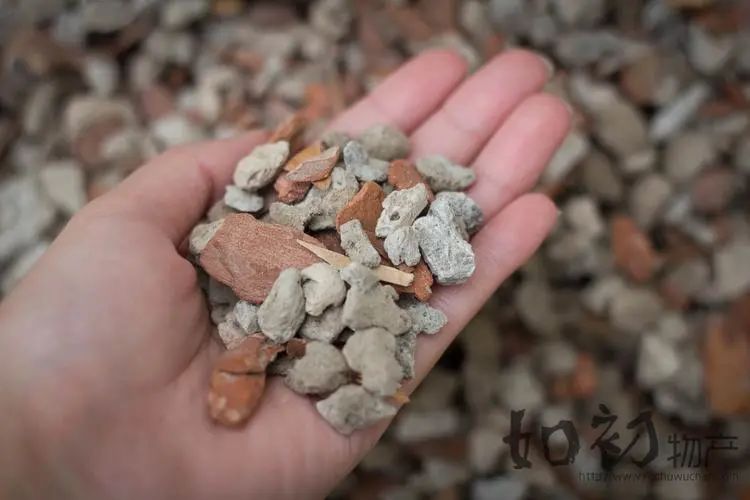 养兰植料要因地制宜,养兰花植料技术管理视频