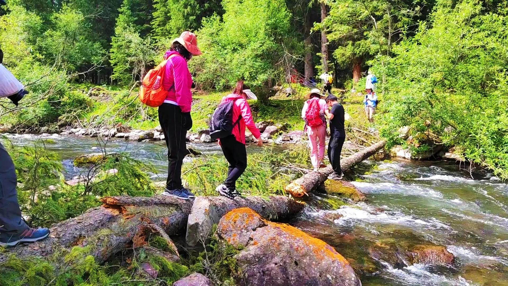 穿越森林探险视频,穿越森林探险之旅