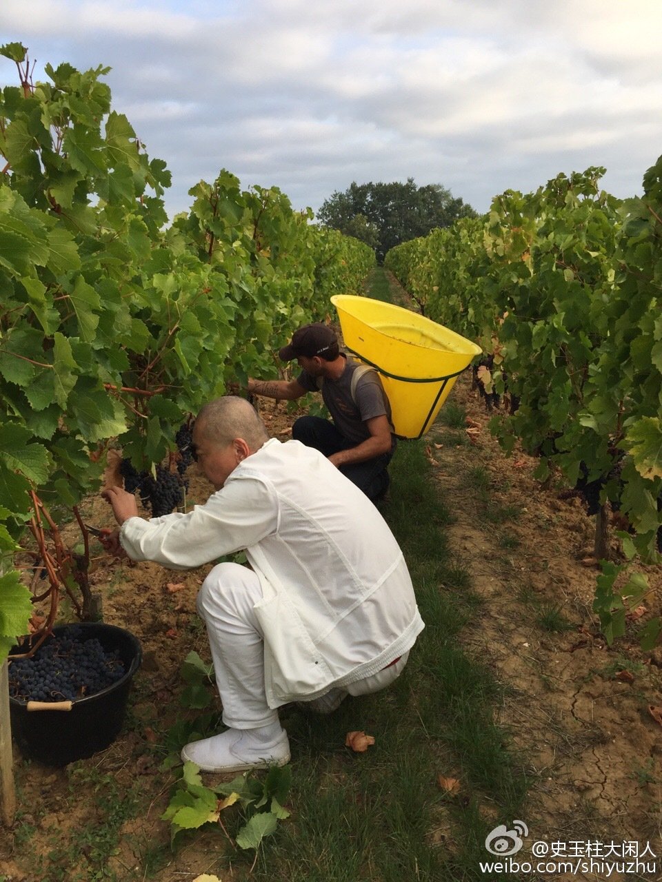 史玉柱创办巨人网络,史玉柱的商业奇谋