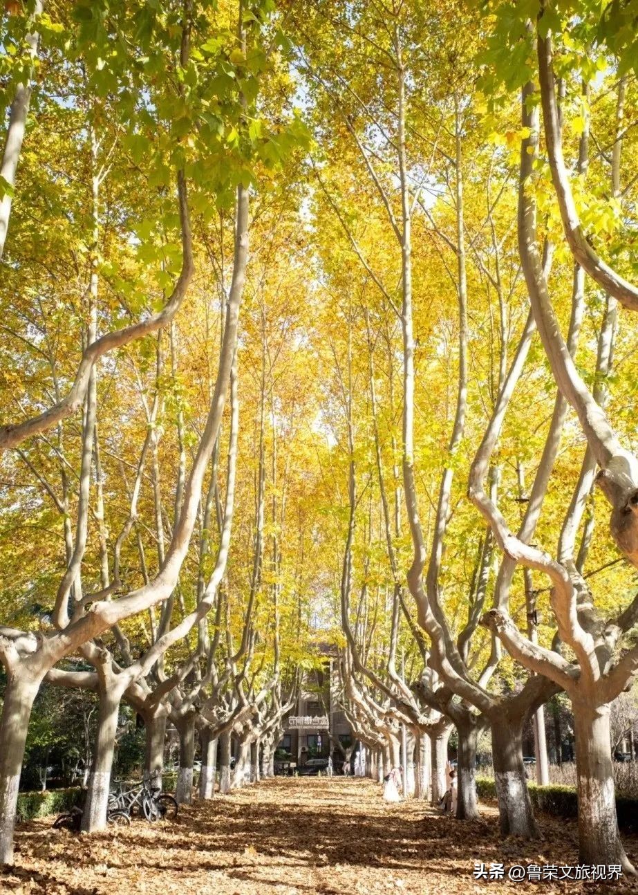 西安旅游攻略大全坐地铁,西安地铁旅游攻略三日游