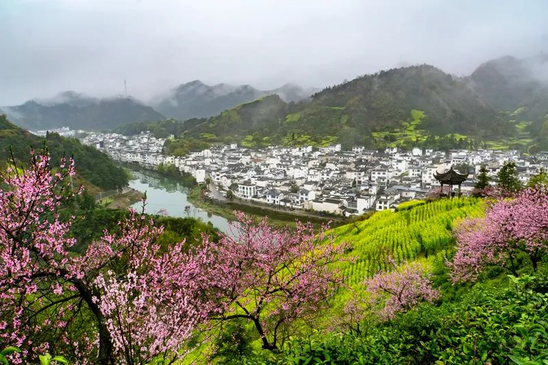 2020梦幻之秋婺源三天摄影创作团,醉美婺源摄影地点推荐