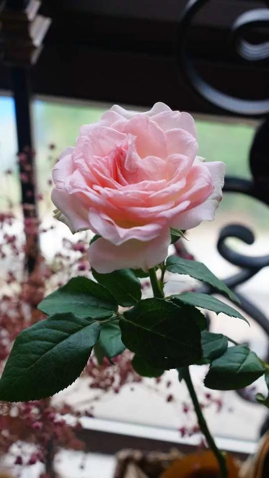 岁月斑驳留下来的都是静好时光,岁月斑驳愿时光静好