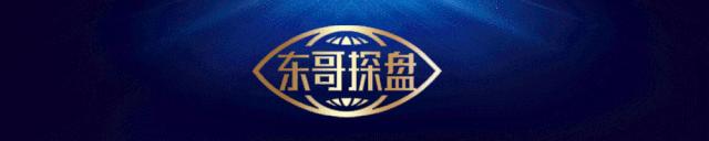 继续无脑买入,还在拼命买房可以吗