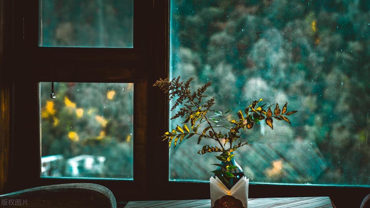 系统窗铝的材质有几种,系统窗铝合金和断桥铝