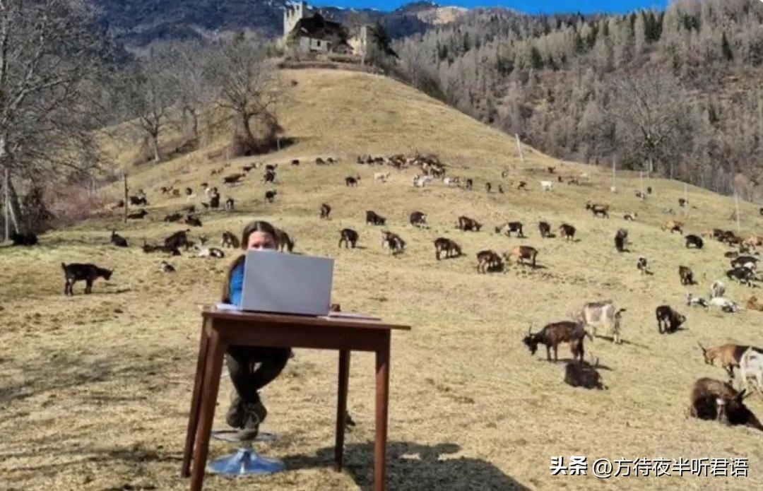 世事沧桑难得一回,世事沧桑难得醉图片