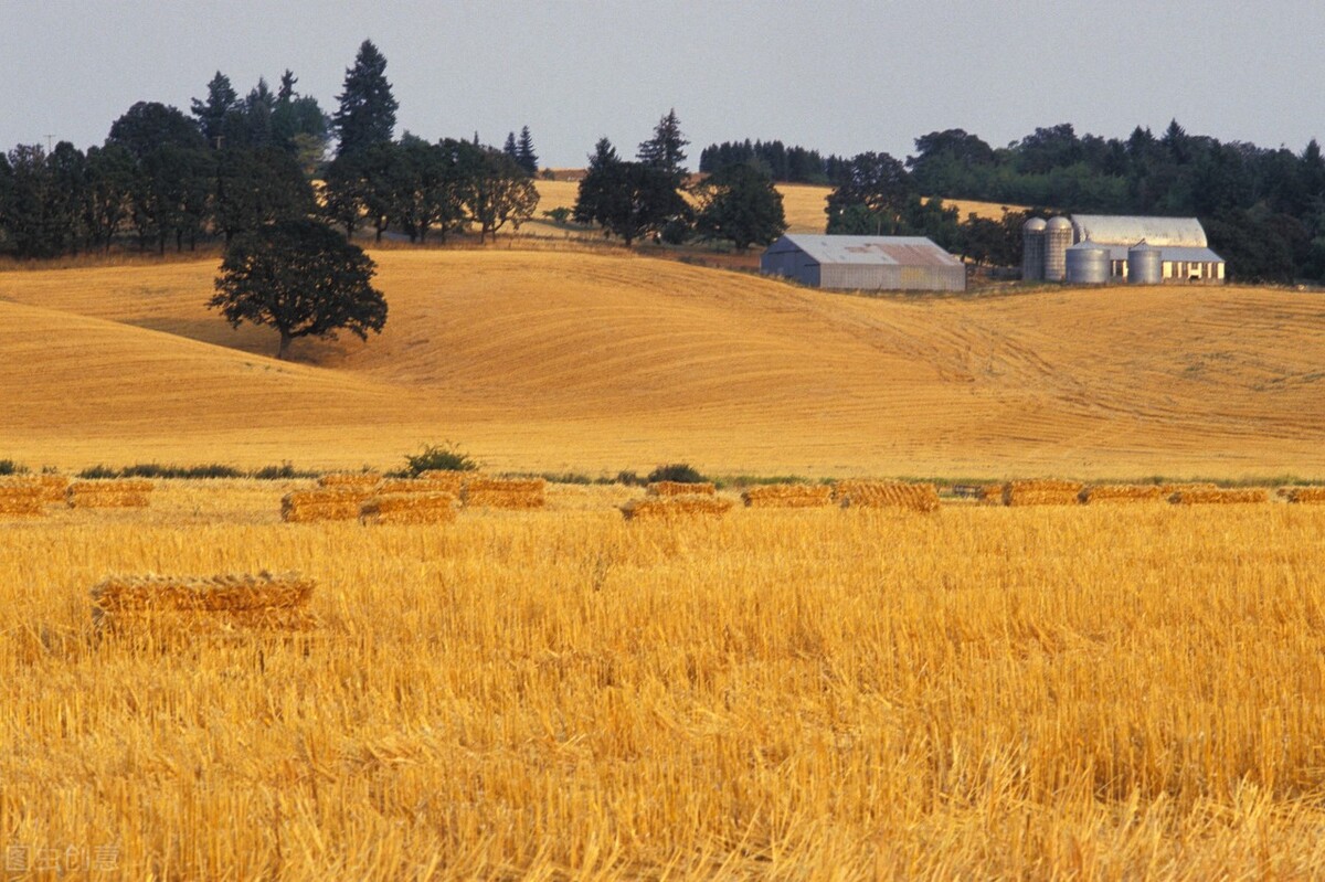 夜晚，女孩捂着脚不敢出声，男子掰开她的手后没有再做丝毫的犹豫