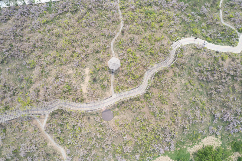 宿州两日游,安徽宿州一日游推荐