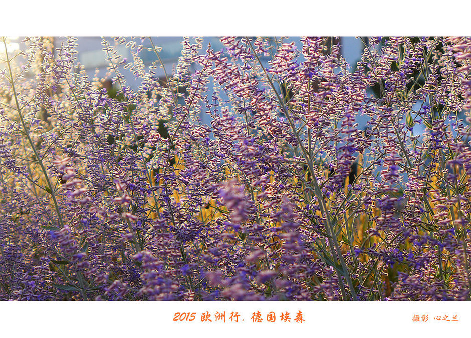 中西欧,中西欧旅游