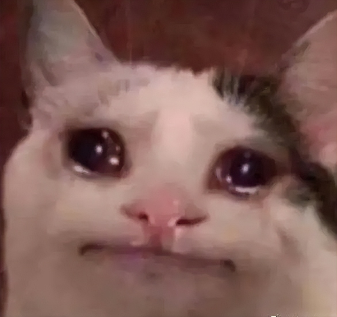 森马美特斯邦威以纯谁现在发展好,美特斯邦威森马以纯哪个好