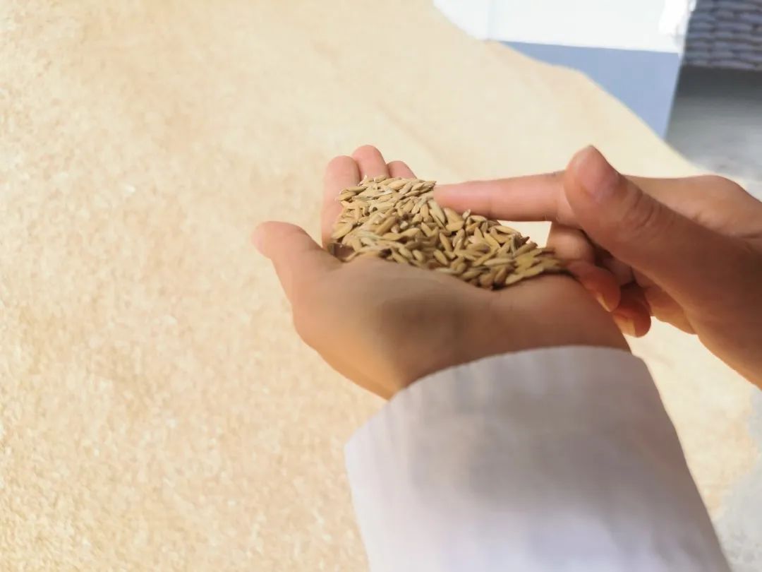 二十大时光内容,二十大时光