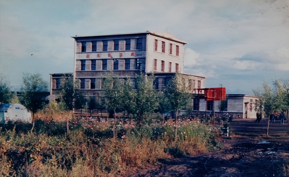 飞鹤至臻非凡,飞鹤发力之作