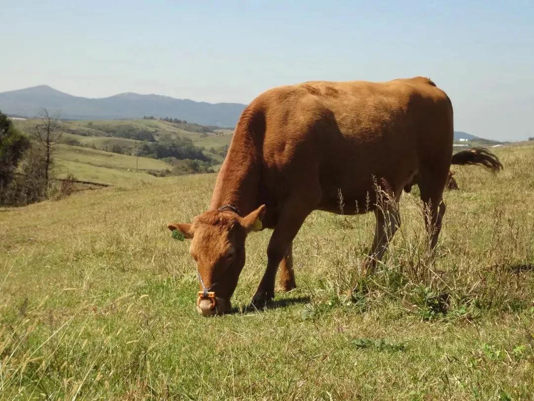奥德赛前往下一个国家按哪个键,奥德赛前往下一个国家