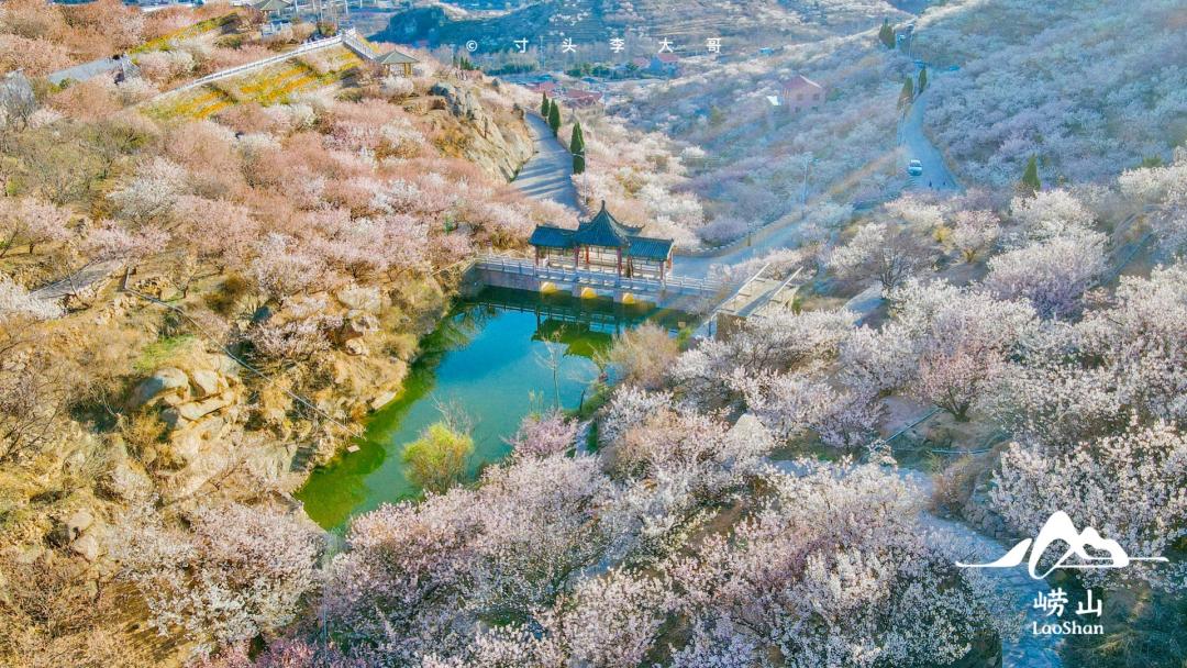 跟团去山东旅游,跟团去欧洲旅游游记