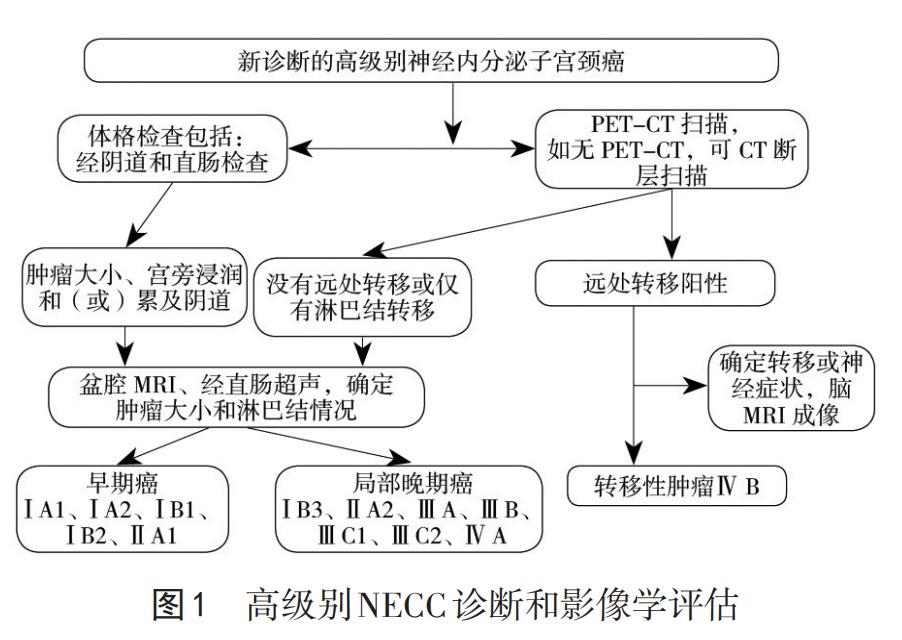 宫颈癌派特生物,派特生物治疗图片