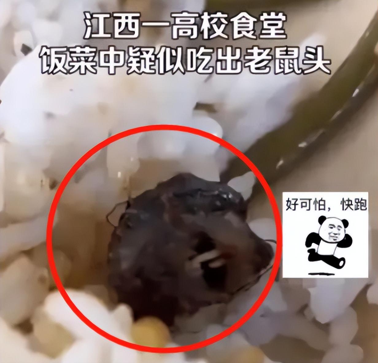 闹大了！“老鼠头事件”，教育厅出马，会不会有人已经瑟瑟发抖？