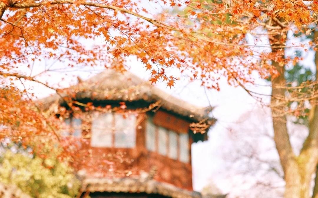 表达爱意异地恋的诗词,表达异地恋相思相见的诗句