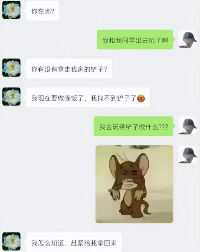 “普信女真下头”，大学生晒出与家长的扎心对话，被怼到没脾气