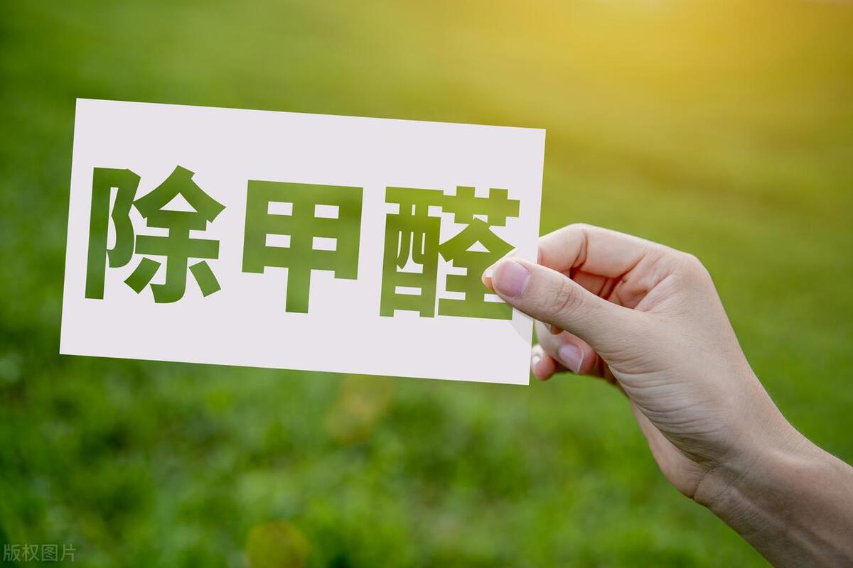 新房除甲醛最好最快的方法小妙招,新房除甲醛是关窗闷好还是通风好