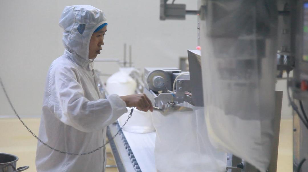 奋进新时代新征程新疆,奋进新征程新疆