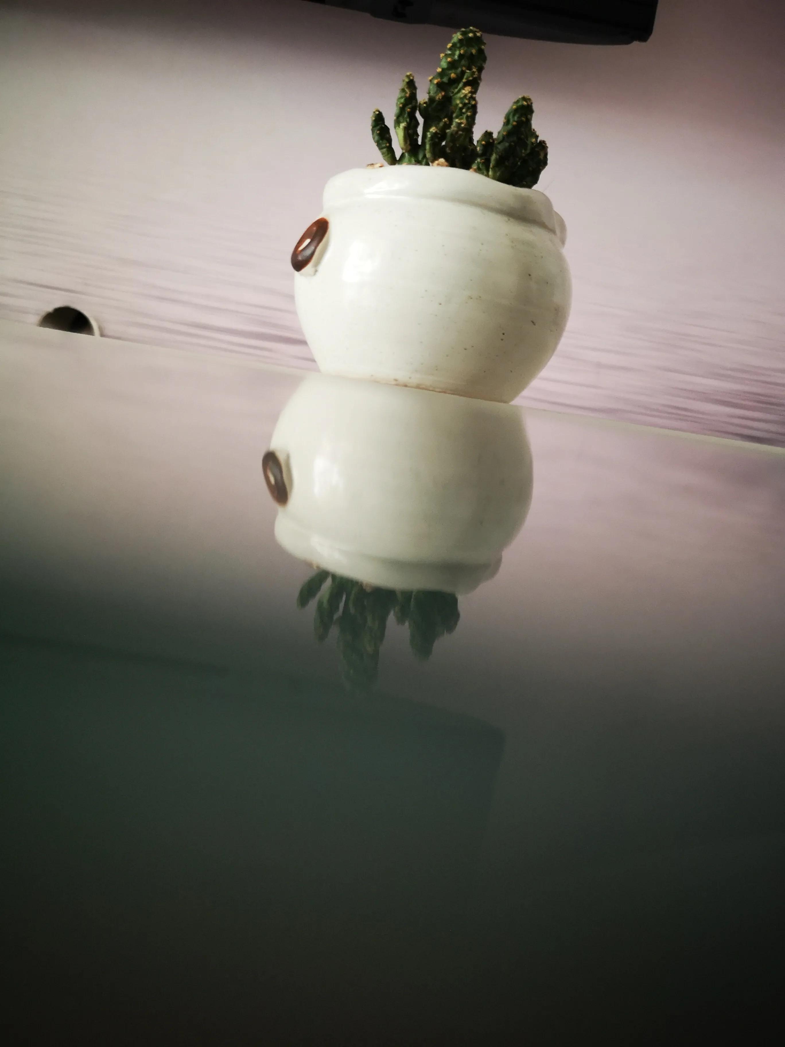 手机摄影专业模式各种场景参数,手机摄影的优势及拍摄题材