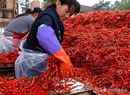 2022年农村行业最赚钱最有前景,适合穷人的18个创业项目农村