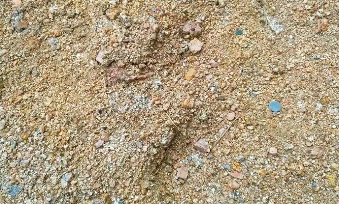 沙子真的短缺了吗,沙子枯竭危机