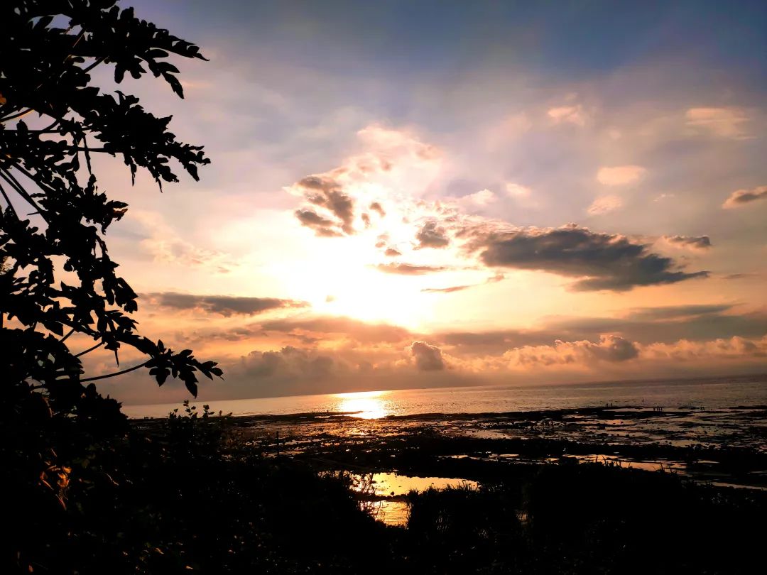 北海涠洲岛上买海鲜怎么避坑,北海涠洲岛有什么好玩的推荐