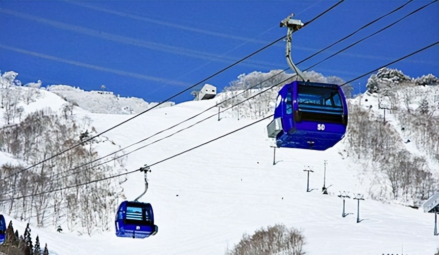 日本新潟饮食,日本新潟县长冈市好吃的
