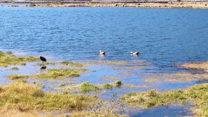 十一月云南旅游攻略腾冲 (从云南腾冲看云南旅游攻略)