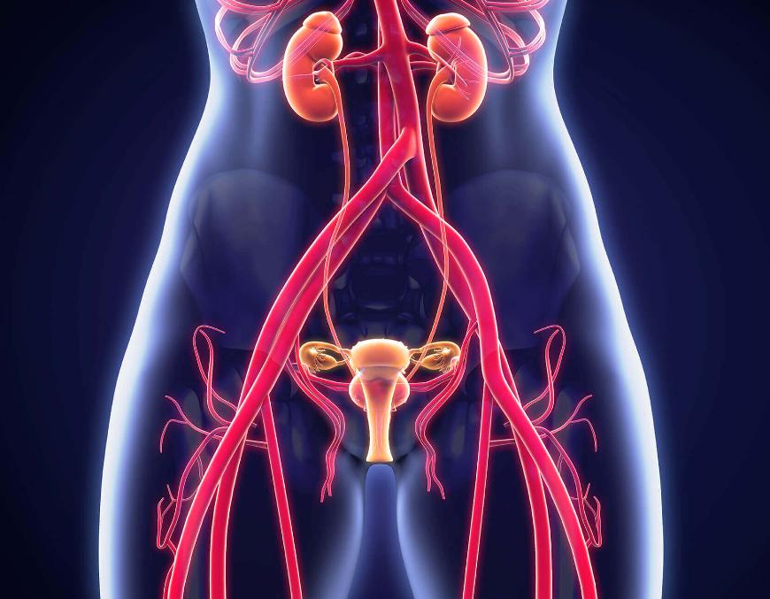 生理上怎么看男人有没有出轨,怎样从生理上看出男人有没有出轨