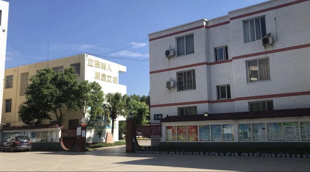 我记忆中的母校真的很美好吗,我回忆在学校读书的时候