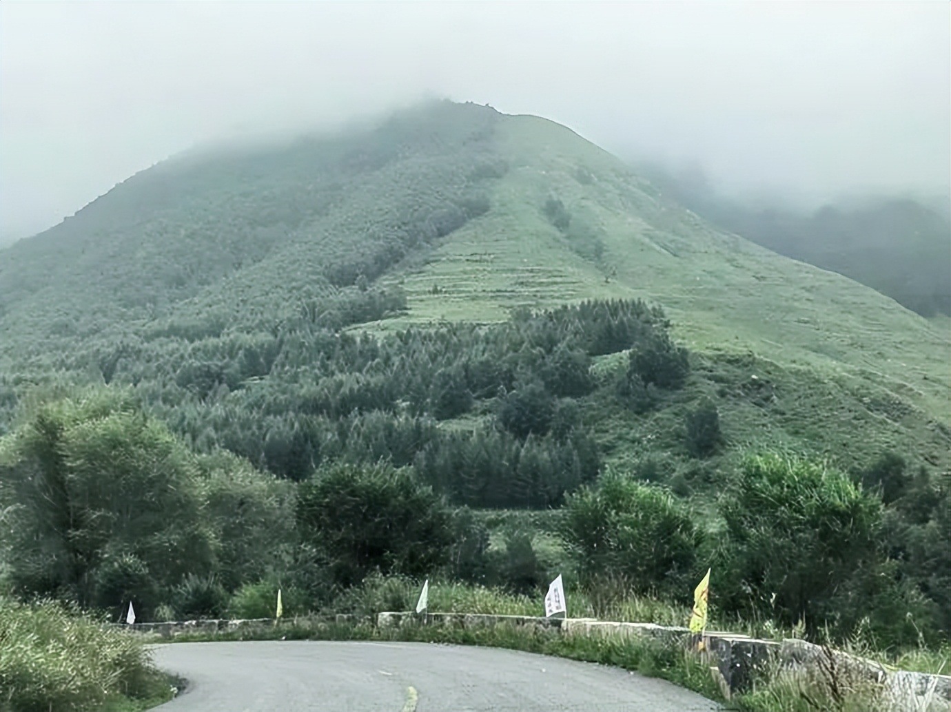 灏忓ぉ灞遍夯鐢板箔鏅尯浜戞捣,楹荤敯宀皬澶╁北璺ソ璧颁箞