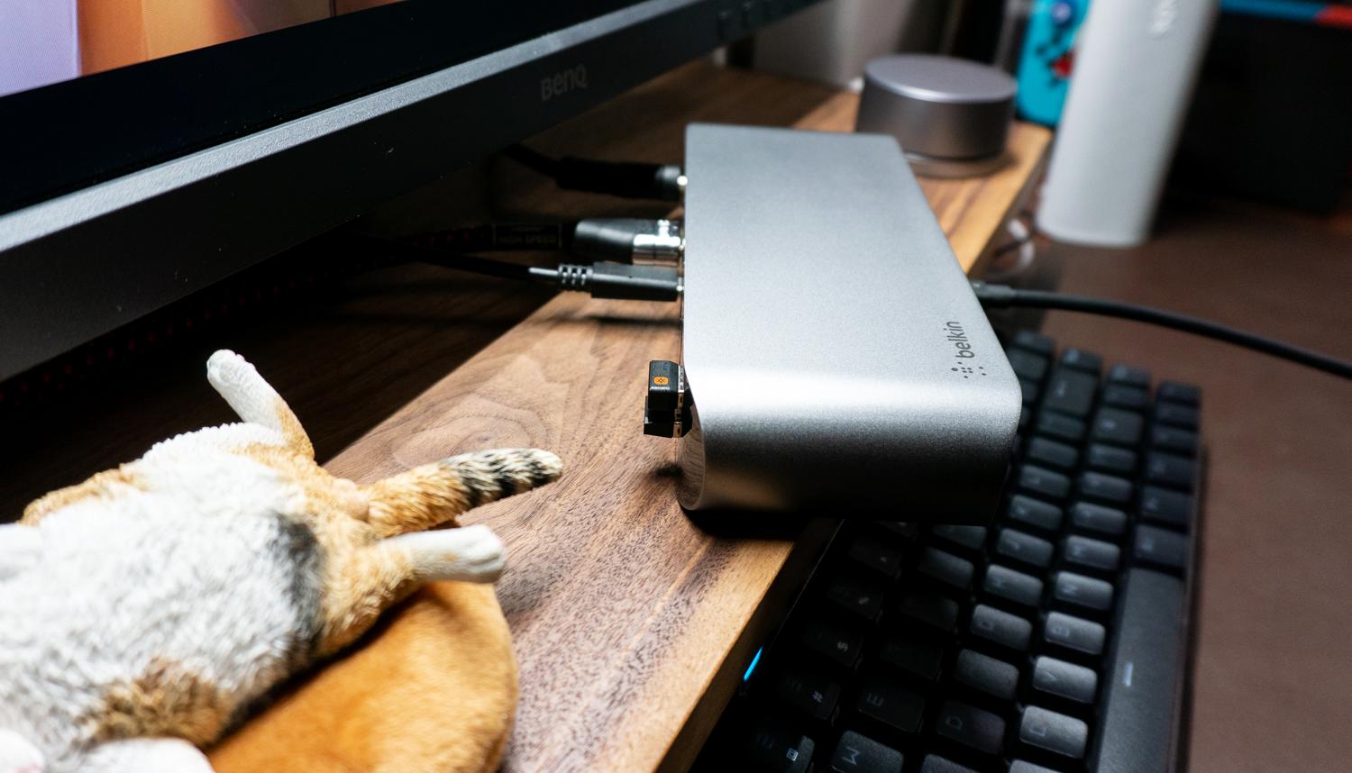 一个视频初学者的设备都有啥？2K显示器+存储工具+拓展坞+SD卡