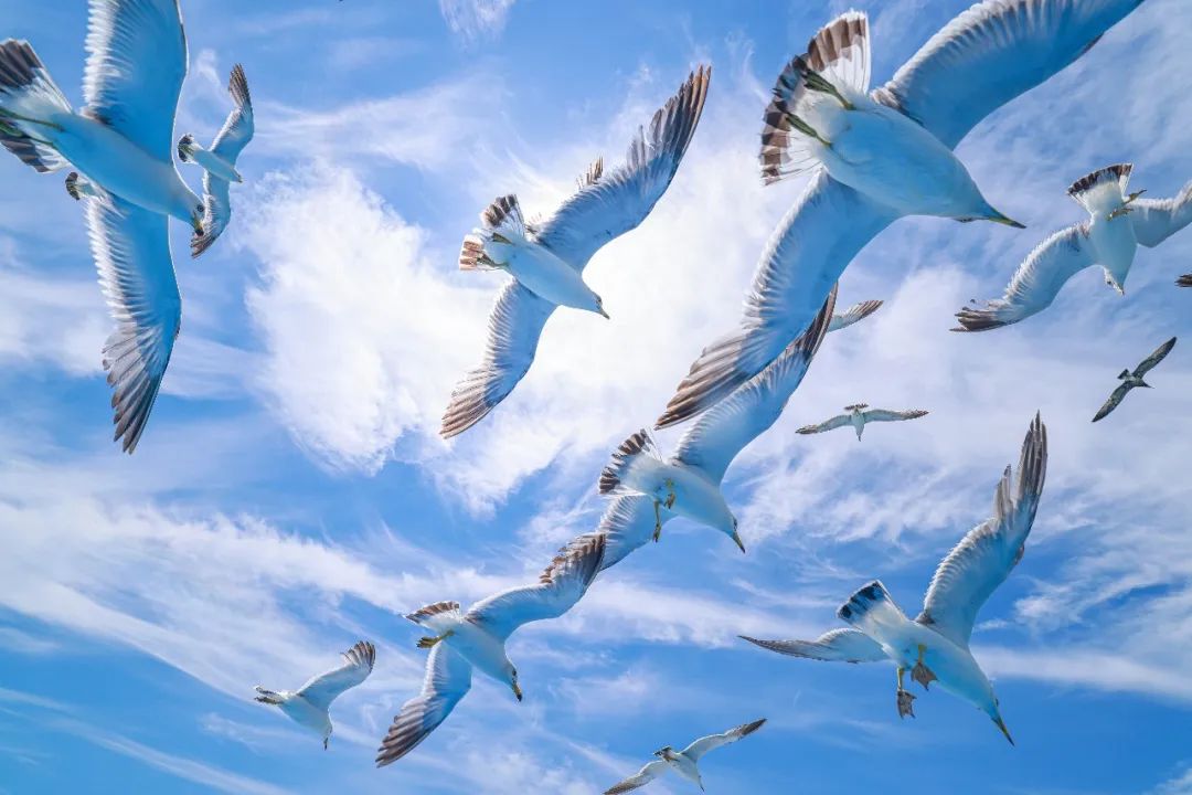 519中国旅游日福建主题,山东夏季旅游海岛