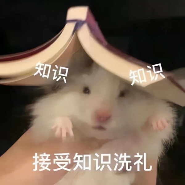 大学生专业课自学网站推荐,大学生软件自学网站推荐