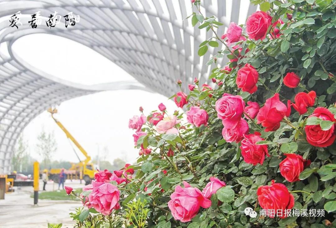 爱看南阳㉟你好2022，再见2021