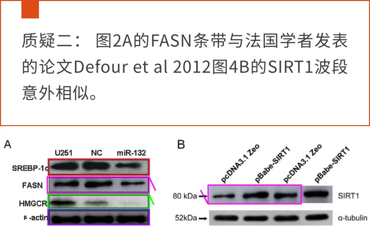 又见广东二院张锦前！联合北京三甲医院发表的高分论文疑似有问题