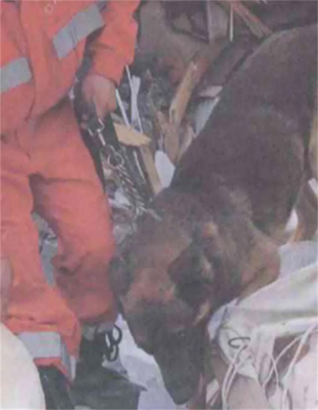 汶川地震搜救的事件,汶川地震惨烈救援人员回忆哭了