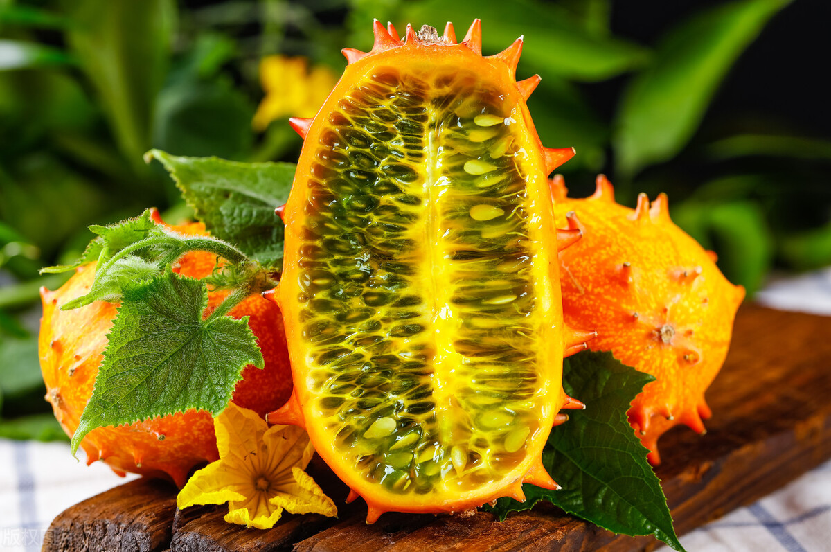 火参果，黄瓜的非洲“亲戚”，吸引眼球却没有征服消费者的味蕾