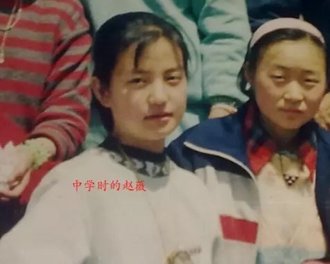 赵薇叛国罪,赵薇涉黑涉恶