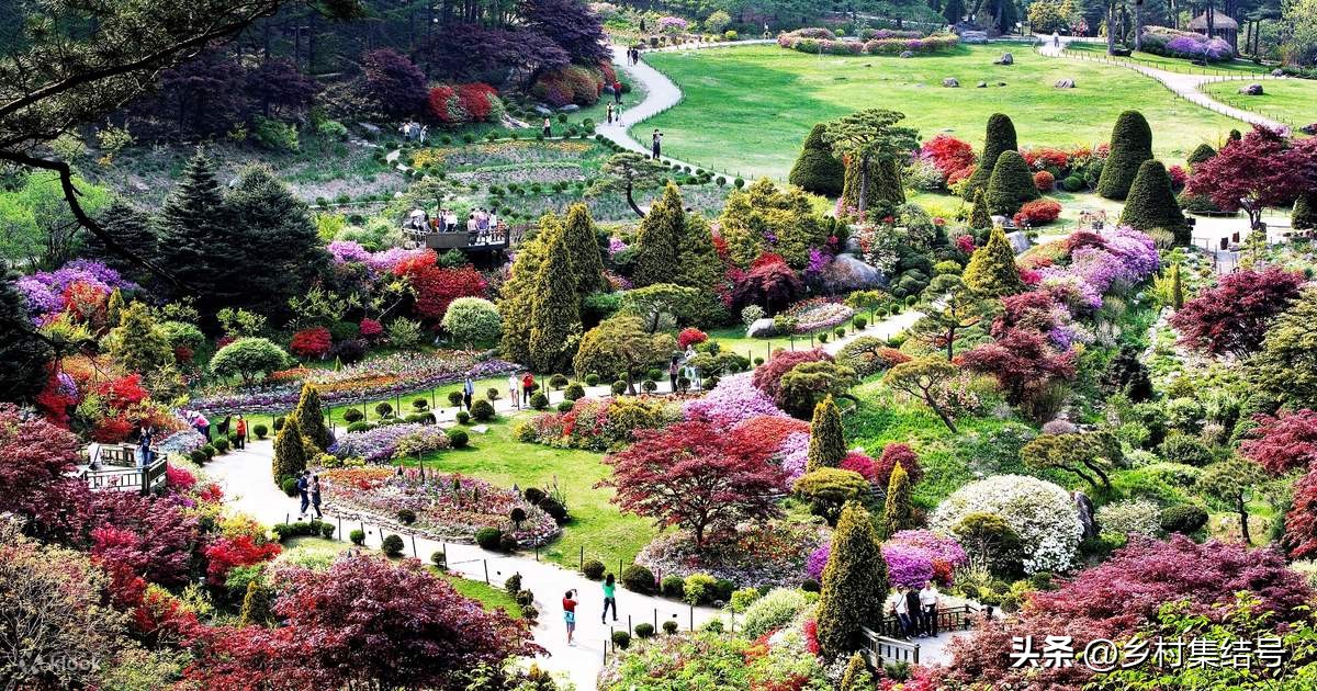 韩国晨静花园,韩国晨静树木园设计方案